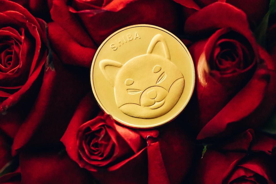 本周必觀察的三大加密貨幣——勿錯過下個100倍的機會